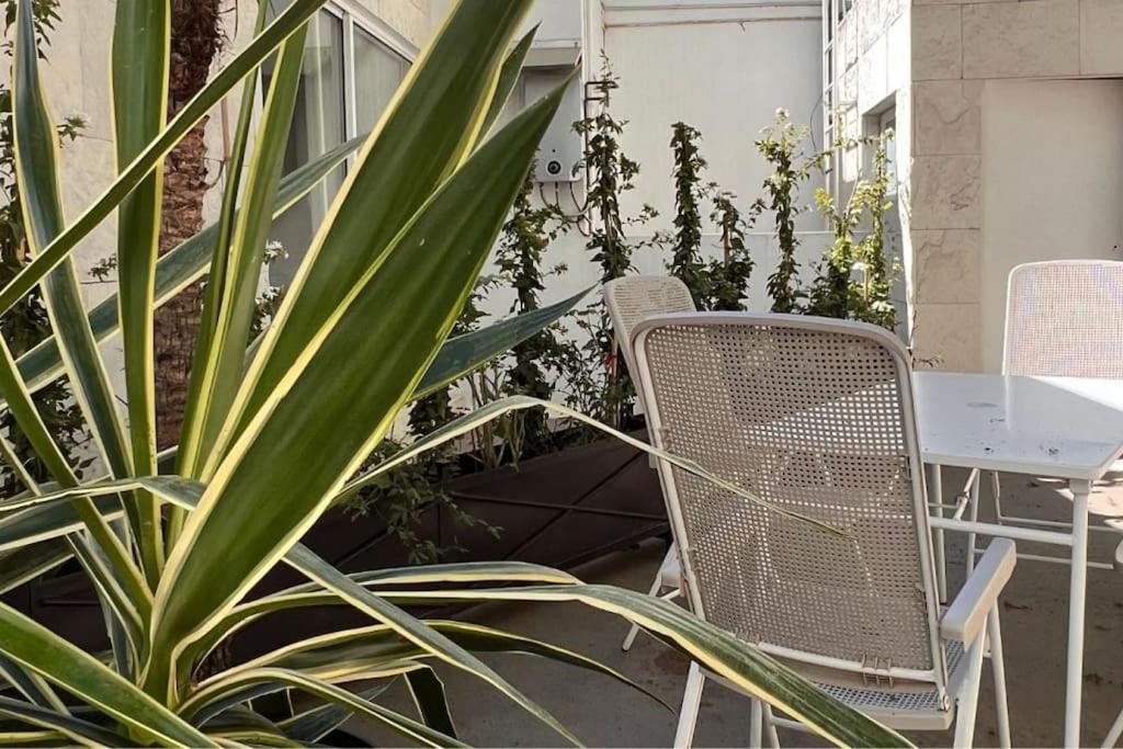 Condesa Residence Amsterdam D Sunny 2Bed 1Bath Apt In Condesa Mexico City Ngoại thất bức ảnh