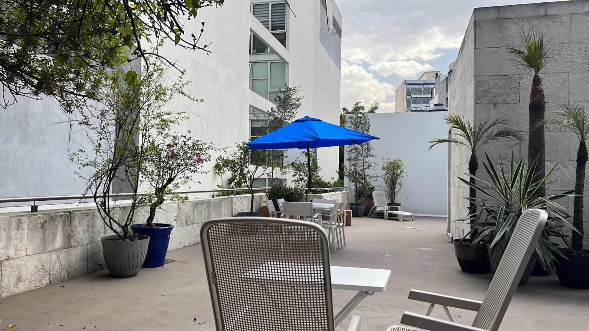 Condesa Residence Amsterdam D Sunny 2Bed 1Bath Apt In Condesa Mexico City Ngoại thất bức ảnh