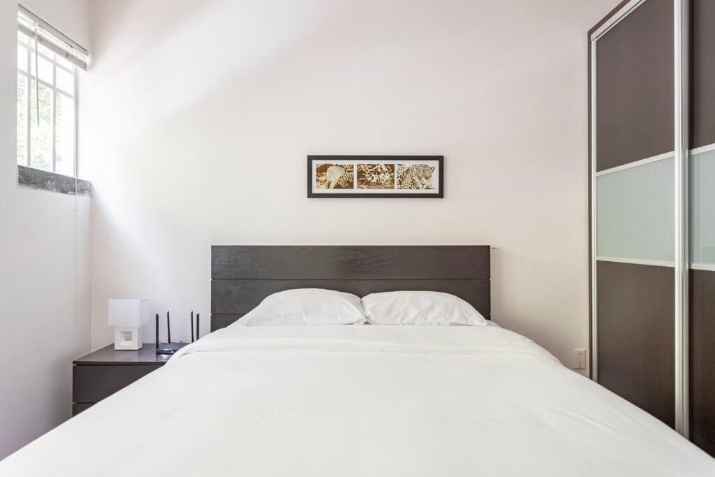 Condesa Residence Amsterdam D Sunny 2Bed 1Bath Apt In Condesa Mexico City Ngoại thất bức ảnh